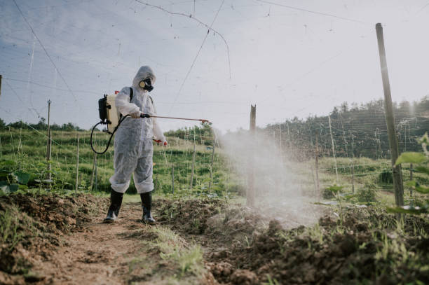 Best Local Pest Control Services  in The Acreage, FL