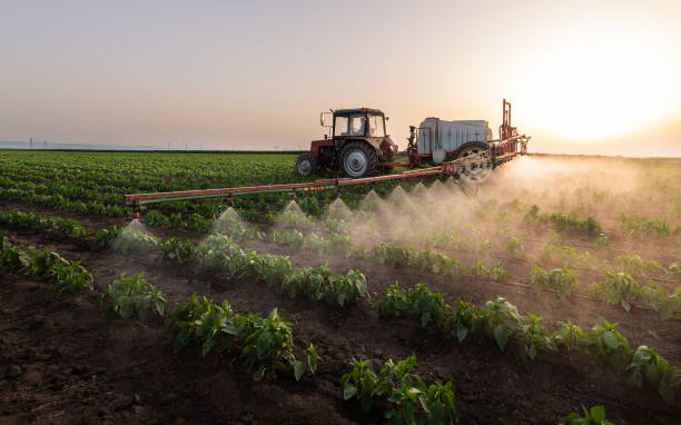 Reliable The Acreage, FL Pest Control Solutions