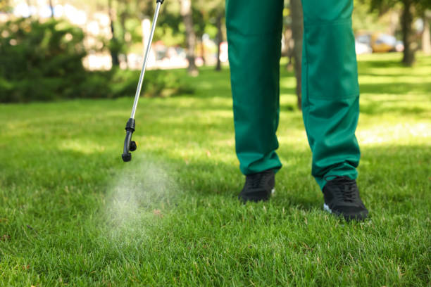 Insect Control in The Acreage, FL