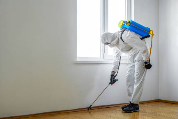 Best Best Pest Control Companies  in The Acreage, FL