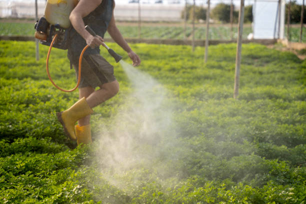 Best Pest Control Near Me  in The Acreage, FL