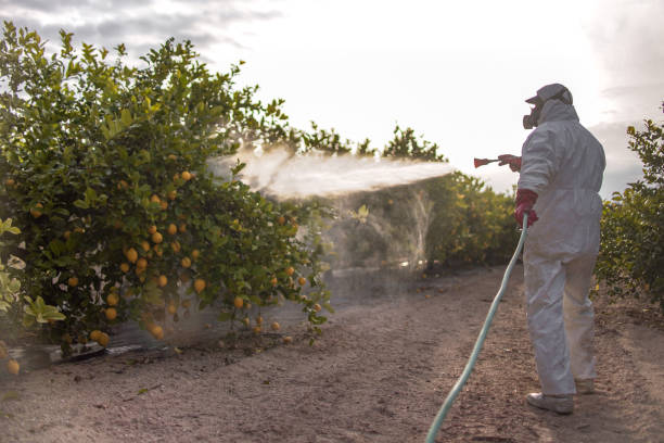 Best Flea Control Services  in The Acreage, FL